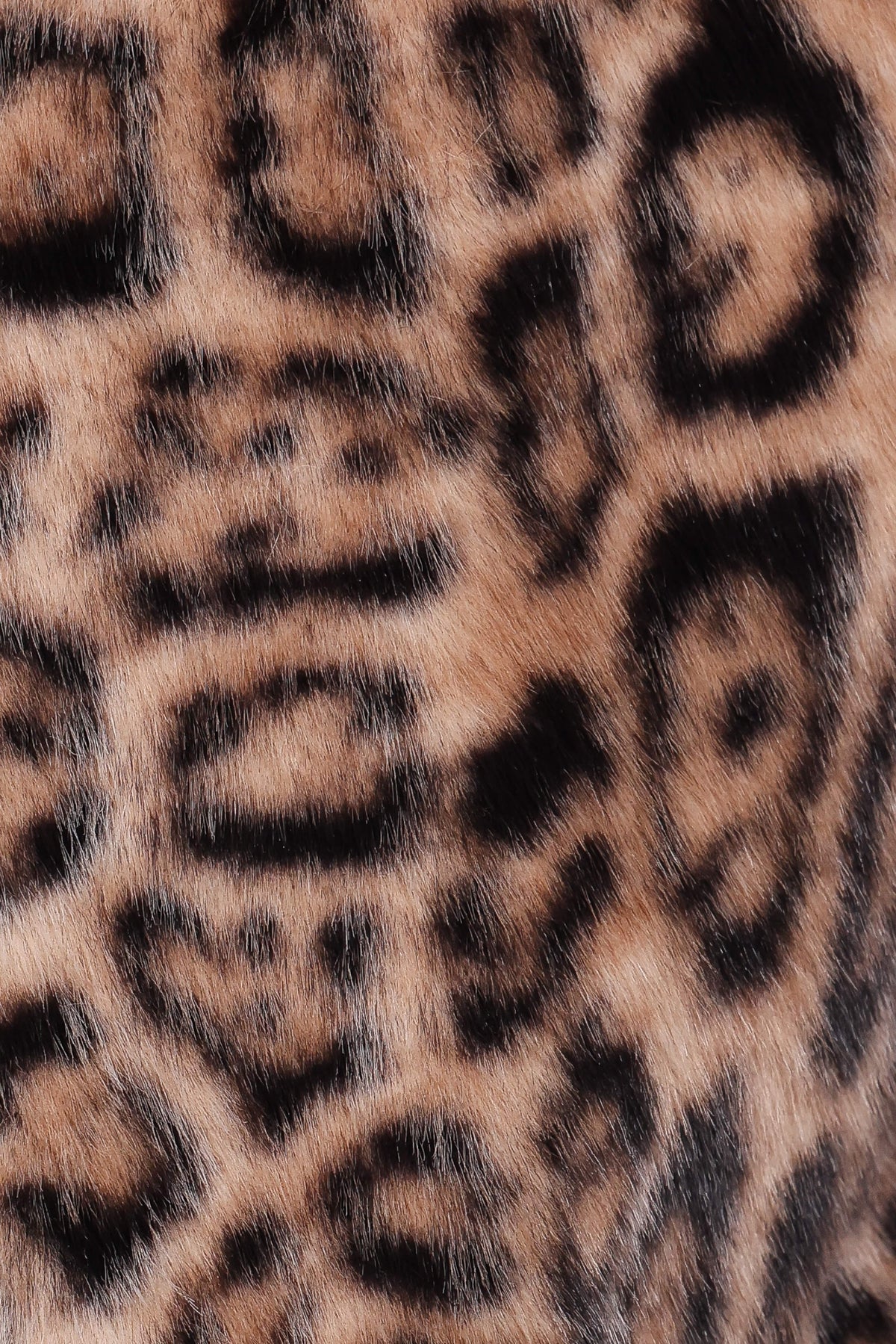 Petal and Pup USA OUTERWEAR Florian Cropped Jacket - Leopard